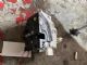Audi A6 4G 2011-2015 RR Door Actuator