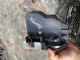 BMW Z Series Z4 LF Door Actuator