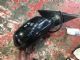 Audi A4 8K 2012-2015 RF Door Elec Mirror