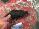 Land Rover Freelander 2 L359 2012-2014 Parking Brake Motor
