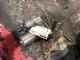Audi A3 8V 2013-2016 Starter Motor