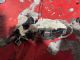 Mercedes-Benz S Class W221 FL 2012-2015 LR Door Actuator