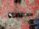 Volkswagen Jetta 5C6 2013-2017 LF Shock Absorber