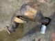 Audi A6 4G 2011-2015 Catalytic Converter (Right Front)