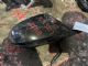 Audi A6 4G 2011-2015 RF Door Elec Mirror