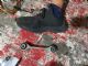 Audi A6 4G 2011-2015 RF Sway Bar Link