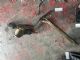 Audi A3 8V 2013-2016 Catalytic Converter