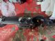 Audi A3 8V 2013-2016 Dash Assy Complete