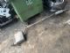 Mini Cooper One F56 2014-2018 Tail pipe