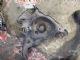 Audi A6 4.5F 2009-2011 LR Lower Arm