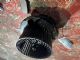 Volkswagen Beetle A5 2012-2018 Blower Motor