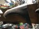 Ford Focus LW 2011-on LF Guard/Fender