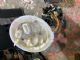 Audi A4 8K 2012-2015 Electric Fuel Pump