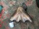 Mercedes-Benz SLK R171 2004-2010 Engine Exhaust Manifold