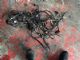Mercedes-Benz E Class C207 2013-2016 Tow Bar Wiring Harness ECU
