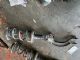 Audi A6 4.5G 2015-2018 RF Shock Absorber