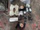 Audi A6 4.5G 2015-2018 Air Bag Module