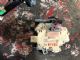Audi A6 4.5G 2015-2018 RR Door Actuator