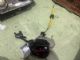 Audi A6 4.5F 2009-2011 RR Door Actuator