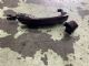 Audi A3 8V 2013-2016 LF Door Exterior Handle