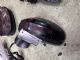Audi A1 8X 2015-2017 LF Door Elec Mirror (5 Wire)