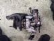 Audi A3 8P 2003-2008 Turbo