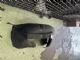 Audi A3 8P 2003-2008 RF Guard/Fender to Cowl Side Seal