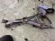 Mercedes-Benz E Class W124 1993-1995 LF Door Regulator Motor