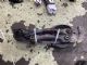 Ford Kuga C520 2013-2019 RR Lower Arm