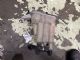 Audi A4 8K 2012-2015 Radiator Spare Tank