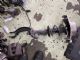 Audi A4 8K 2012-2015 RF Strut Electric