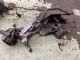 Audi A4 8K 2012-2015 Right Engine Mount