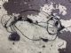 Audi A4 8W 2015-2018 Rear Bumper Proximity Sensor