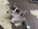 Audi A4 8W 2015-2018 Misc Item