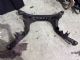 Audi A6 4.5G 2015-2018 Rear Subframe