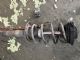 Volkswagen Beetle A5 2012-2018 LF Shock Absorber