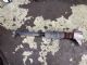 Audi A4 8W 2015-2018 LR Shock Absorber