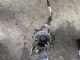 Jaguar XF Series X250 2011-2015 High Pressure Pump