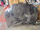Audi A3 8P 2003-2008 Bonnet