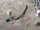 Mini Cooper R56 2007-2009 Exhaust Oxy Sensor