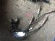 Audi A4 8K 2009-2012 Exhaust Oxy Sensor
