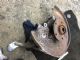 Audi A4 8K 2009-2012 LR Knuckle