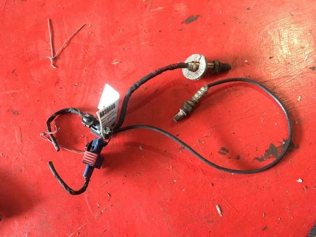 BMW 3 Series  316I F30 Exhaust Oxy Sensor