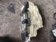 Mercedes-Benz S Class W221 FL 2012-2015 RR Door Actuator