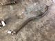 Audi A4 8K 2009-2012 Mid Pipe