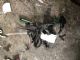 Audi A4 8K 2009-2012 Headlight Leveling Sensor