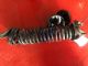 BMW 1 Series 116i F20 LR Coil Spring