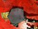 Audi A6 4F 2006-2008 Engine Vacuum Pump