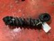 BMW 3 Series  318I F30 LCI LR Coil Spring