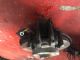 BMW 3 Series  318I F30 LCI LR Disc Brake Caliper